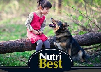 PRODUCTOS PICART NUTRIBEST
