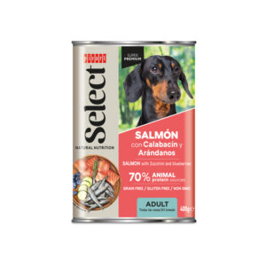 Picart Select Adult húmedo de salmón con calabacín y arándanos para perros