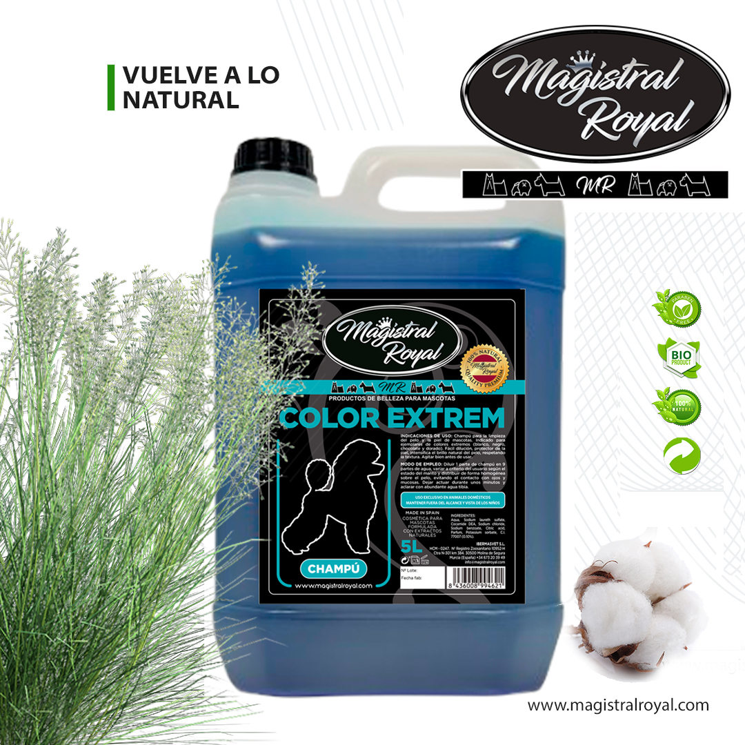 Champú Color Extrem | Champú pelo blanco, negro o dorado 5 L