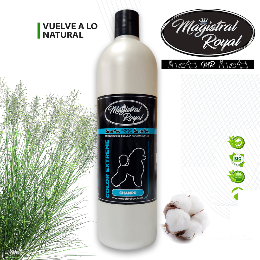 Champú Color Extrem | Champú pelo blanco, negro o dorado 1 L