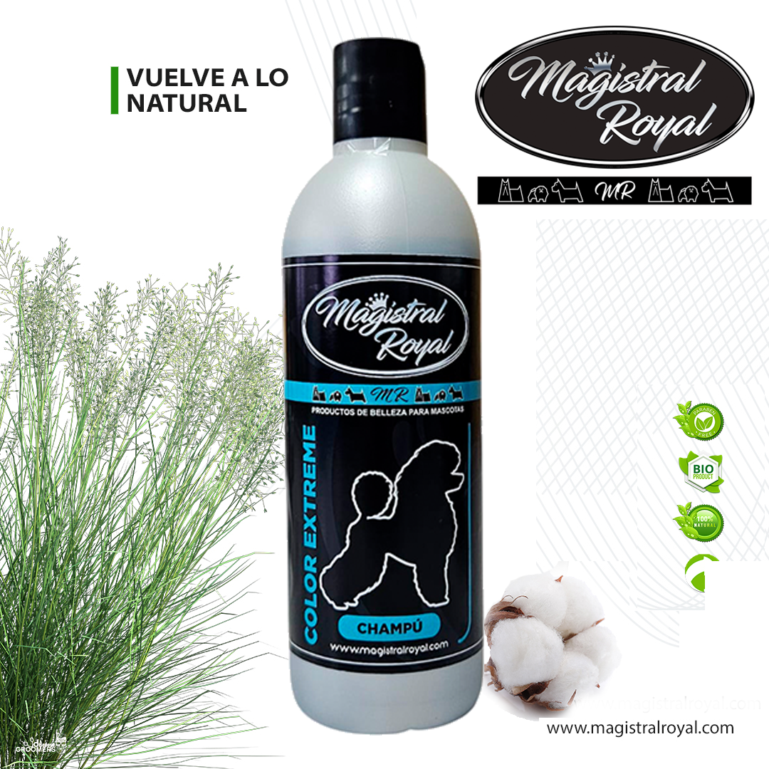 Champú Color Extrem | Champú pelo blanco, negro o dorado 500 ml