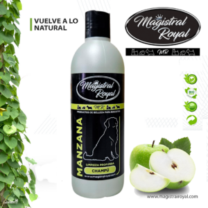 Champú Manzana | Champú para pelo muy sucio 500 ml