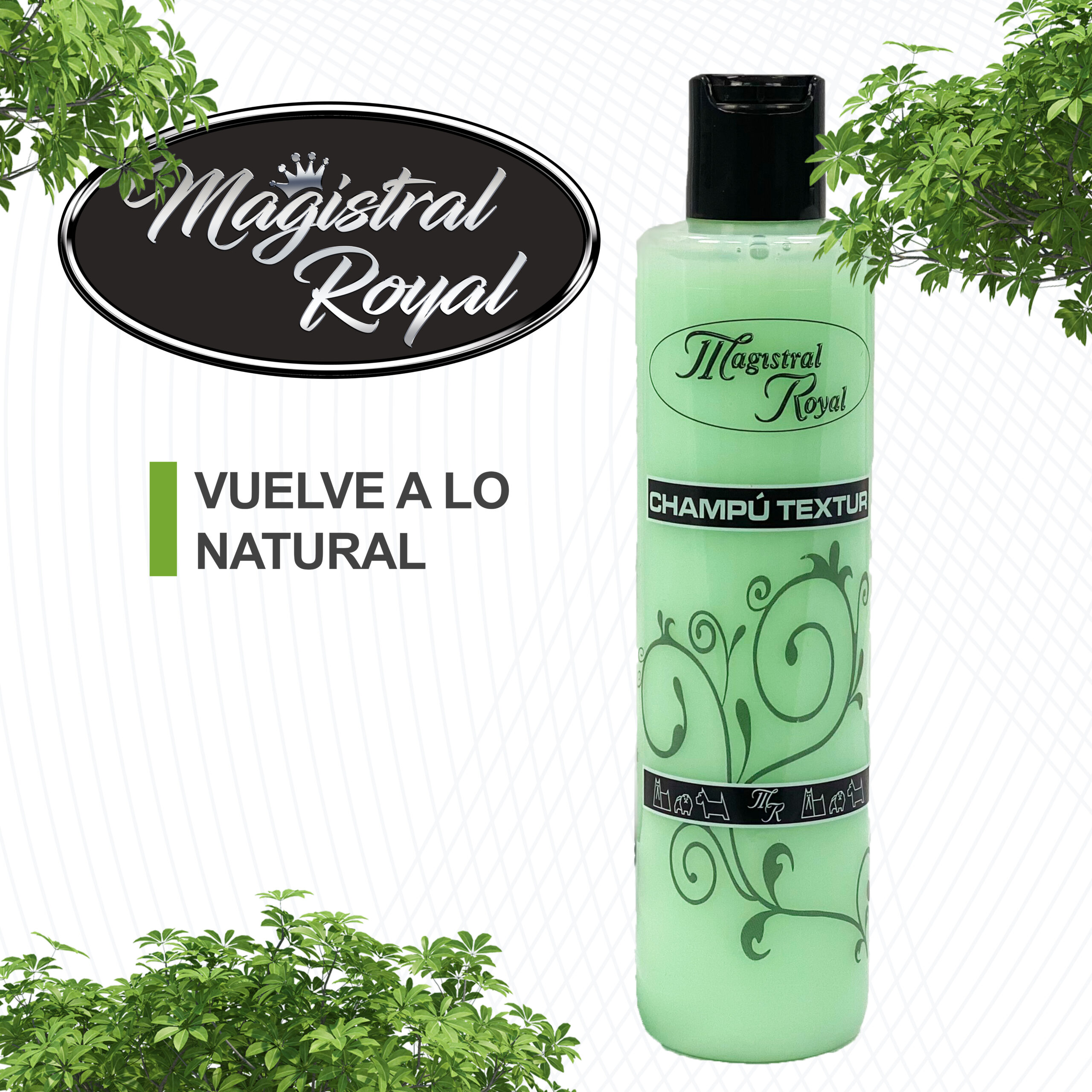 Champú Textur | Textura y Volumen 250 ml